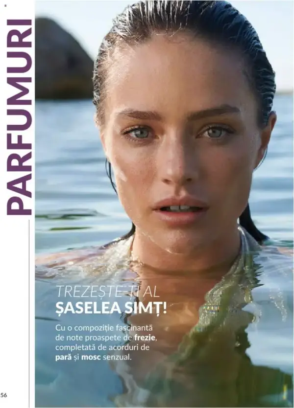Pagina 60