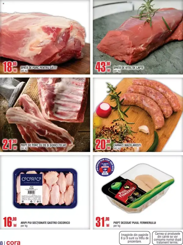 Pagina 8