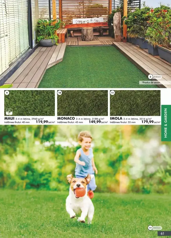 Pagina 61