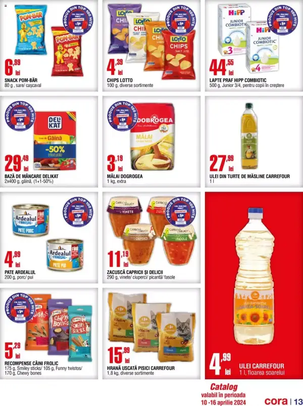 Pagina 13
