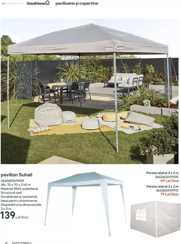 Pagina 42