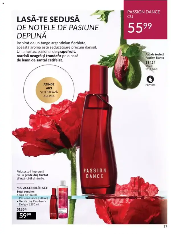 Pagina 91