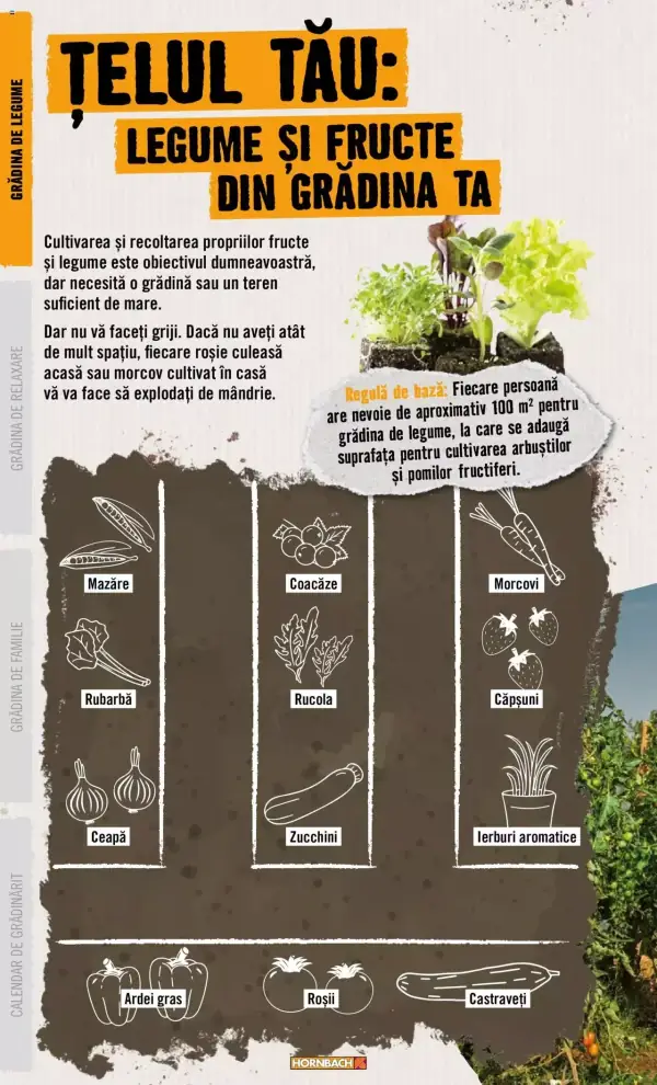Pagina 6