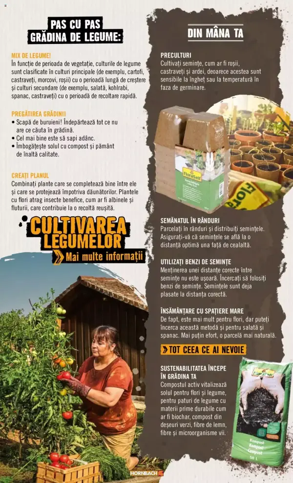 Pagina 7