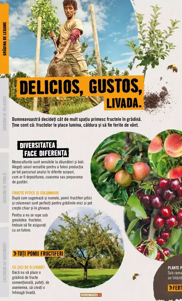 Pagina 8