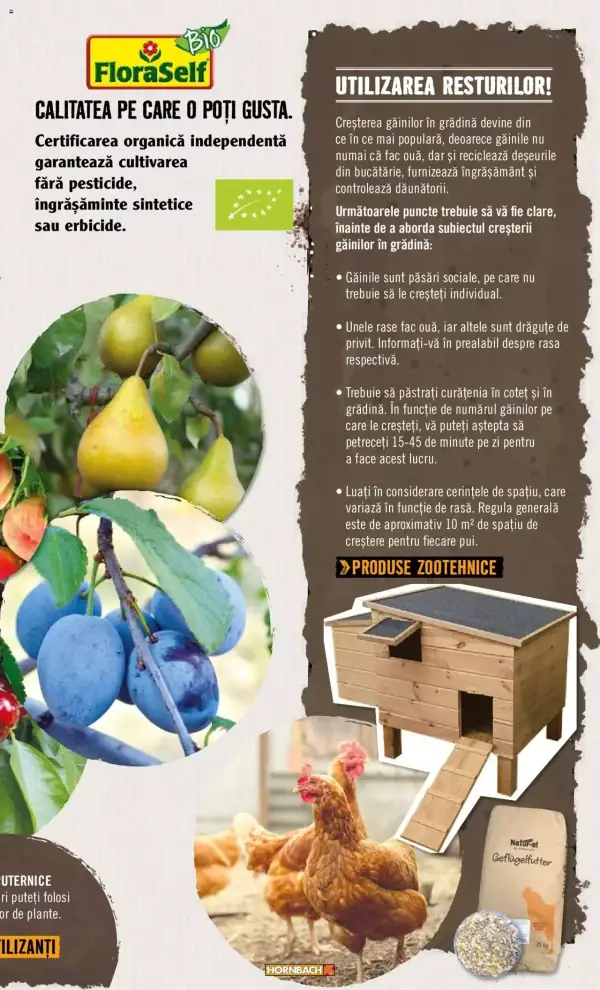 Pagina 9