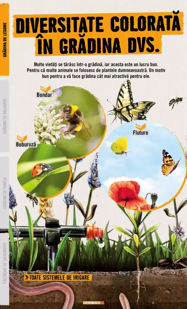 Pagina 12