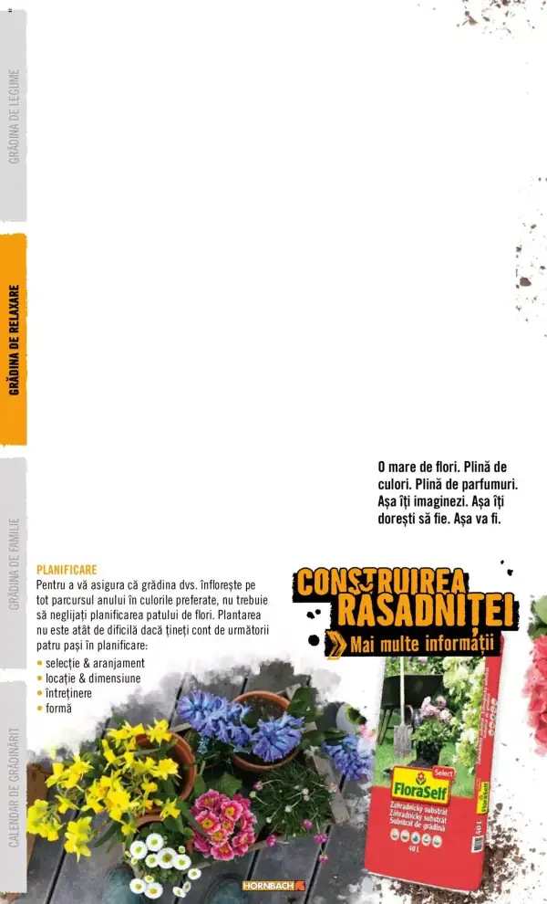 Pagina 22