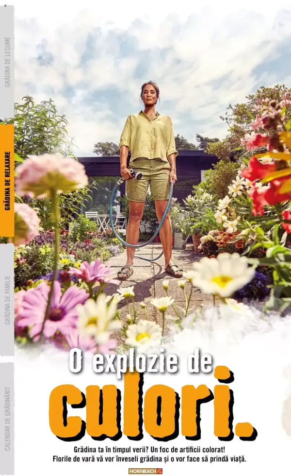 Pagina 24