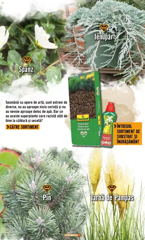 Pagina 27