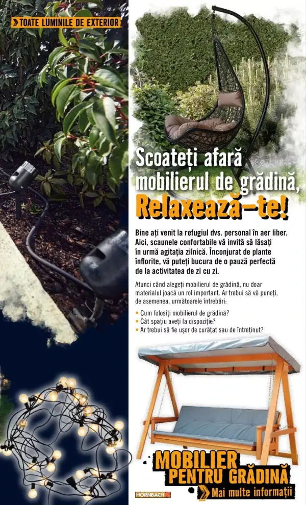 Pagina 31