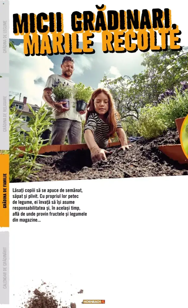 Pagina 40