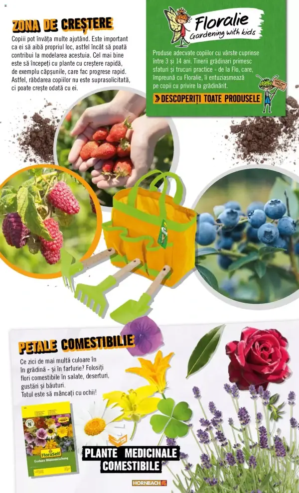 Pagina 41