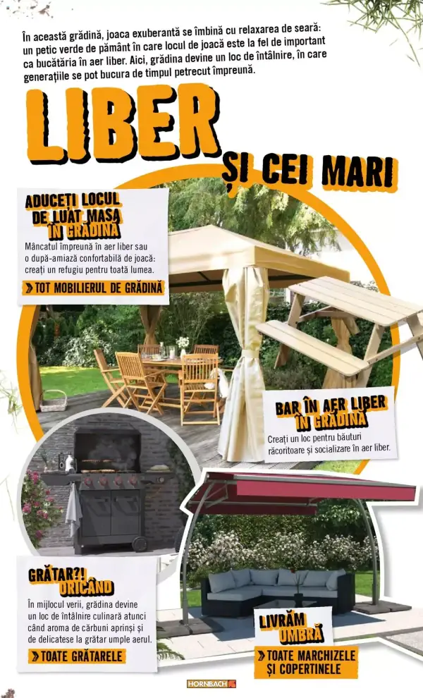 Pagina 43