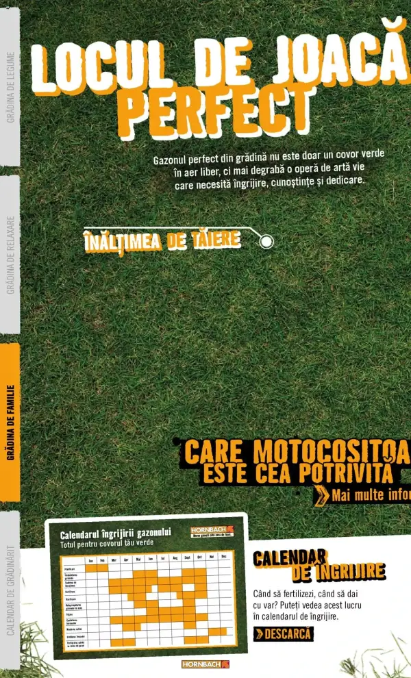Pagina 44