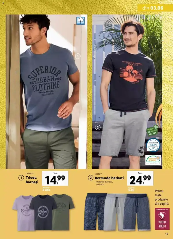 Pagina 17