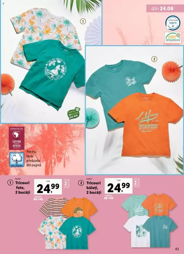 Pagina 43