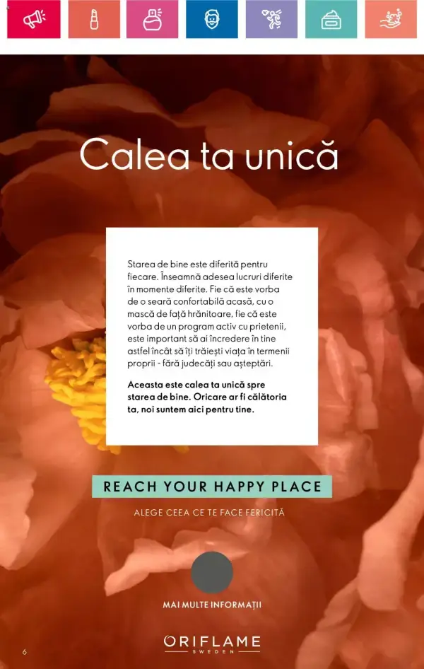 Pagina 6