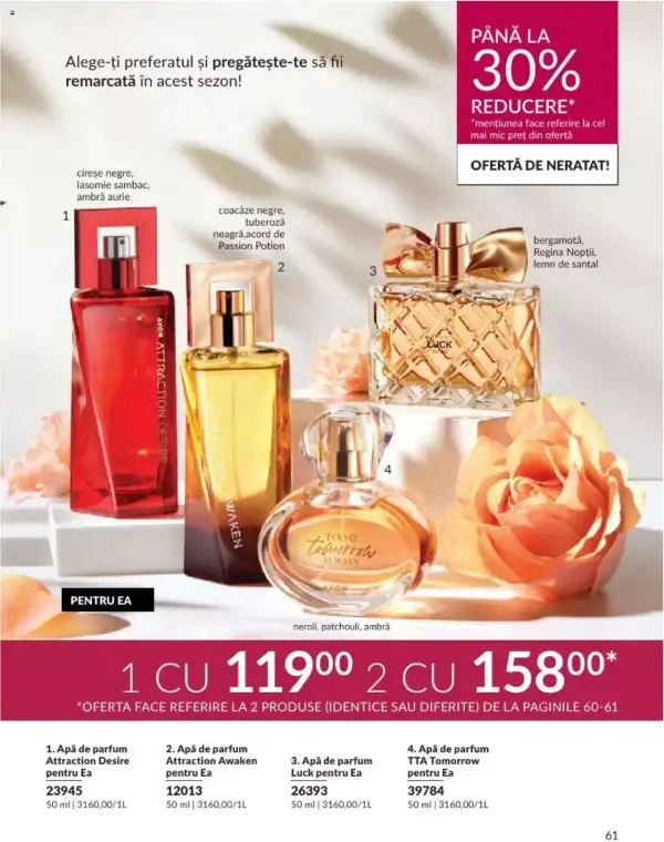 Pagina 61