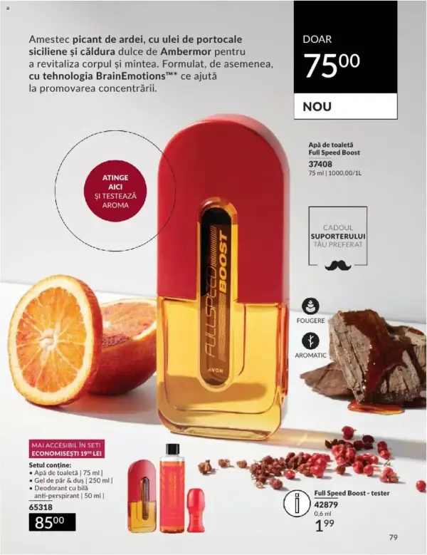 Pagina 79