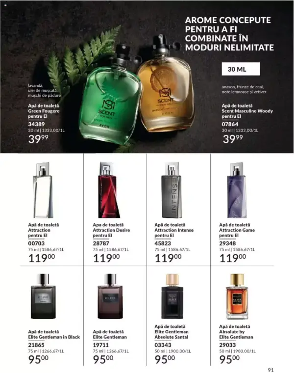Pagina 91