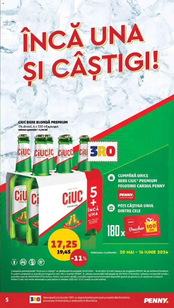 Pagina 5