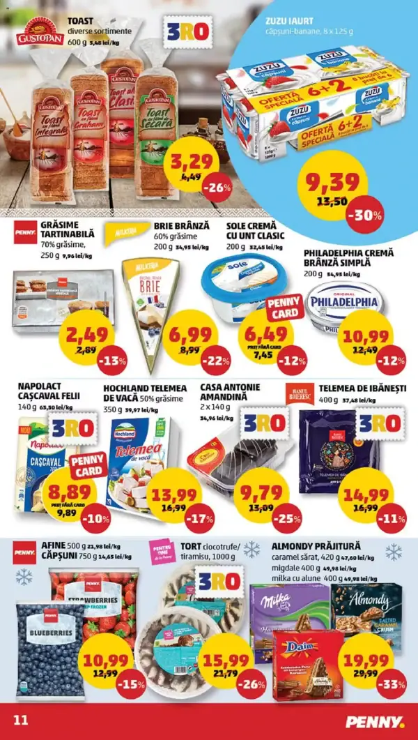 Pagina 11