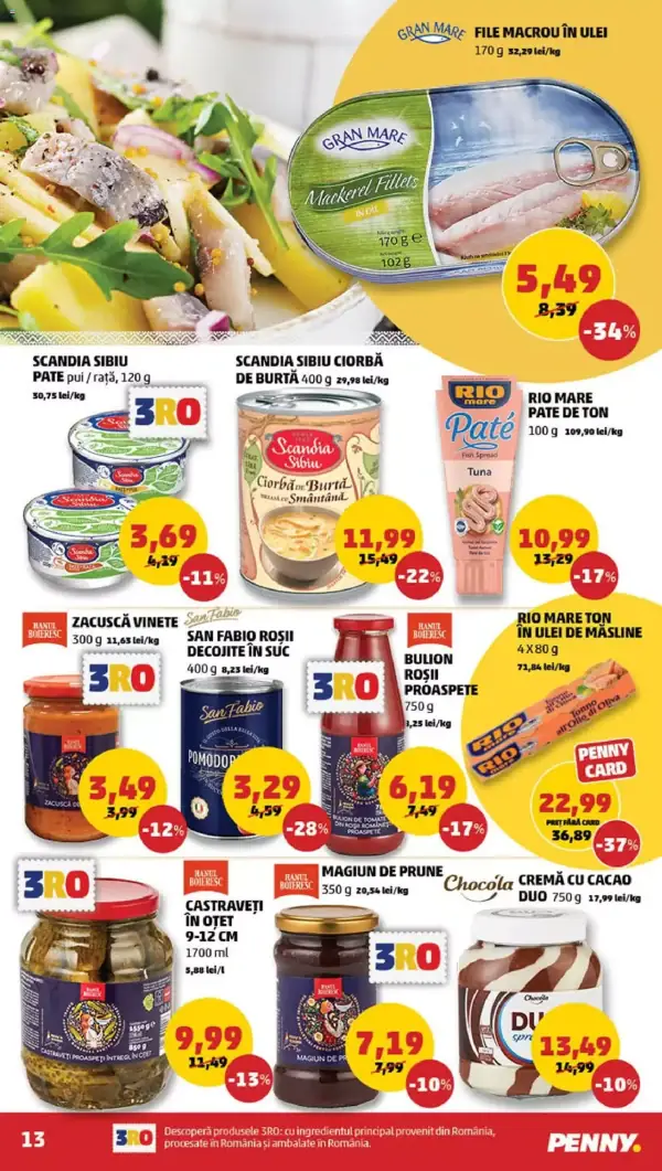 Pagina 13