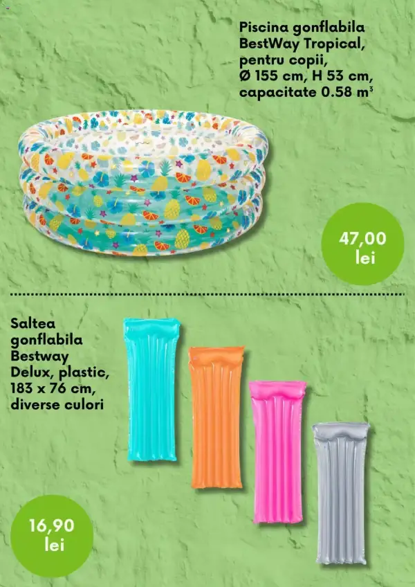 Pagina 5
