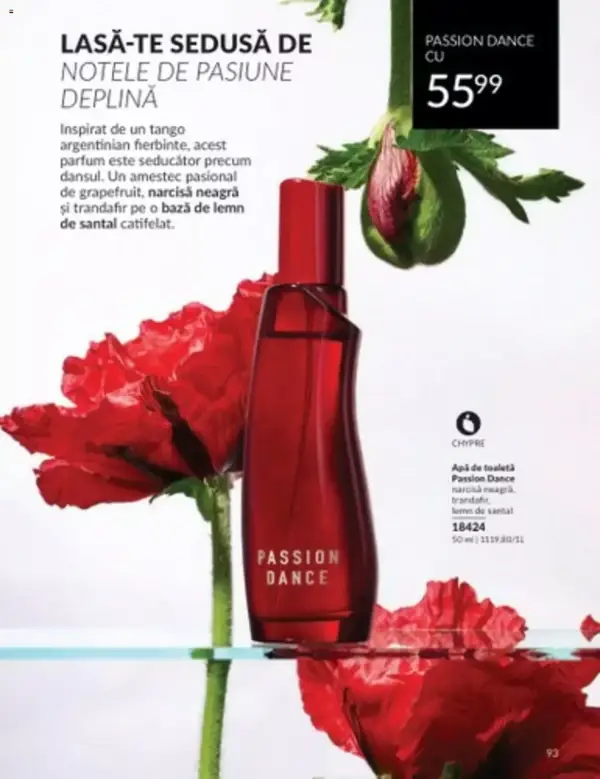 Pagina 93