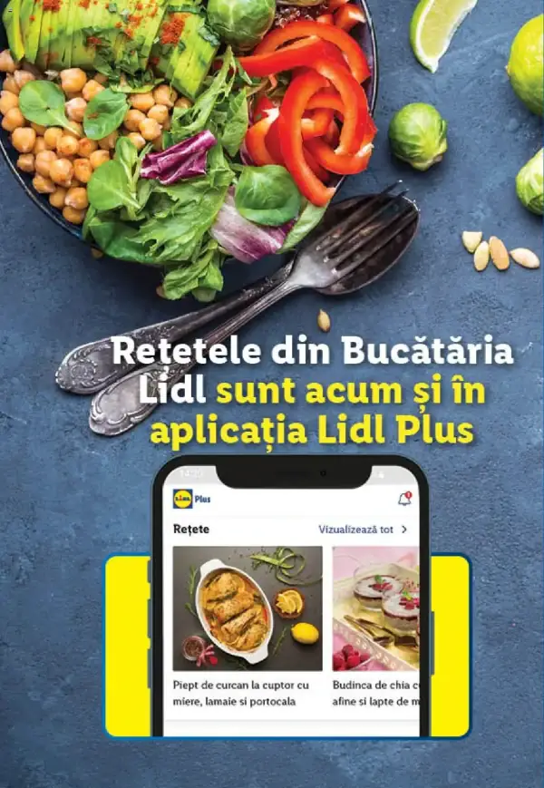 Cataloage Lidl: Ofertă actuală din 11.07.2024 - 11-07-2024 - 11-07-2025.