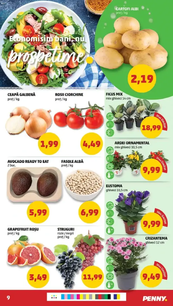 Pagina 9