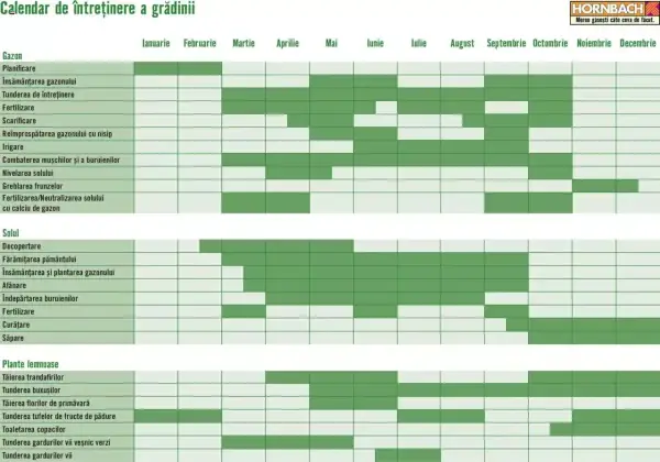 Pagina 1