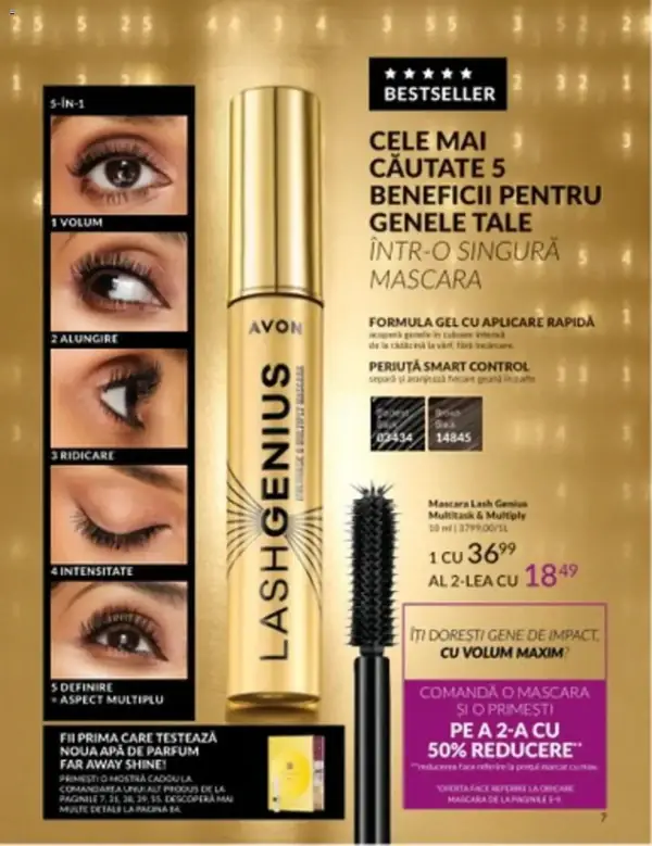 Pagina 7