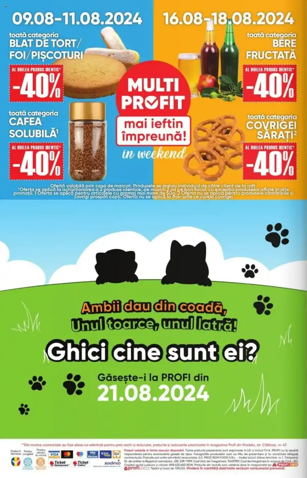 Pagina 12