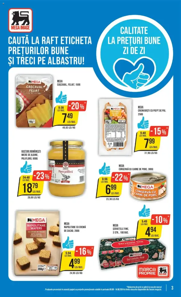 Pagina 3