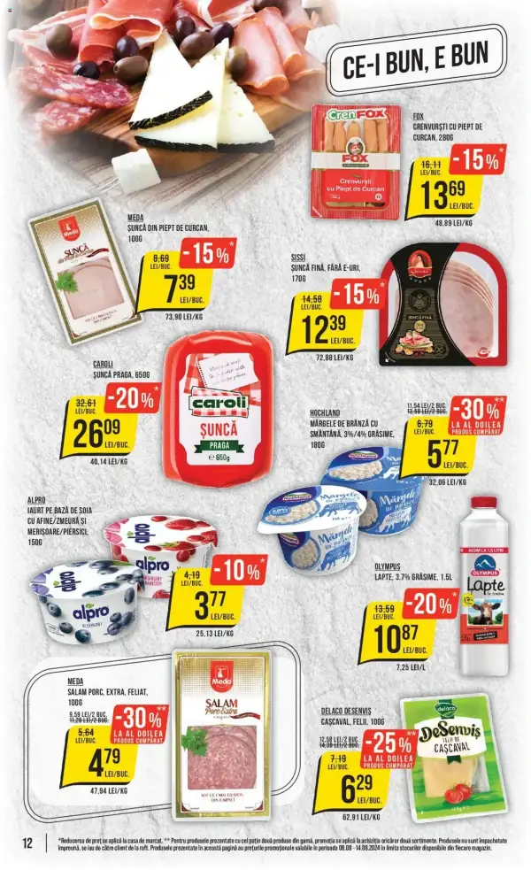 Pagina 12