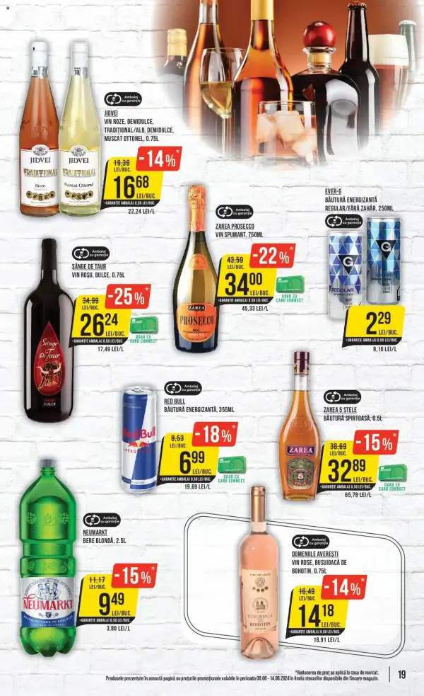 Pagina 19