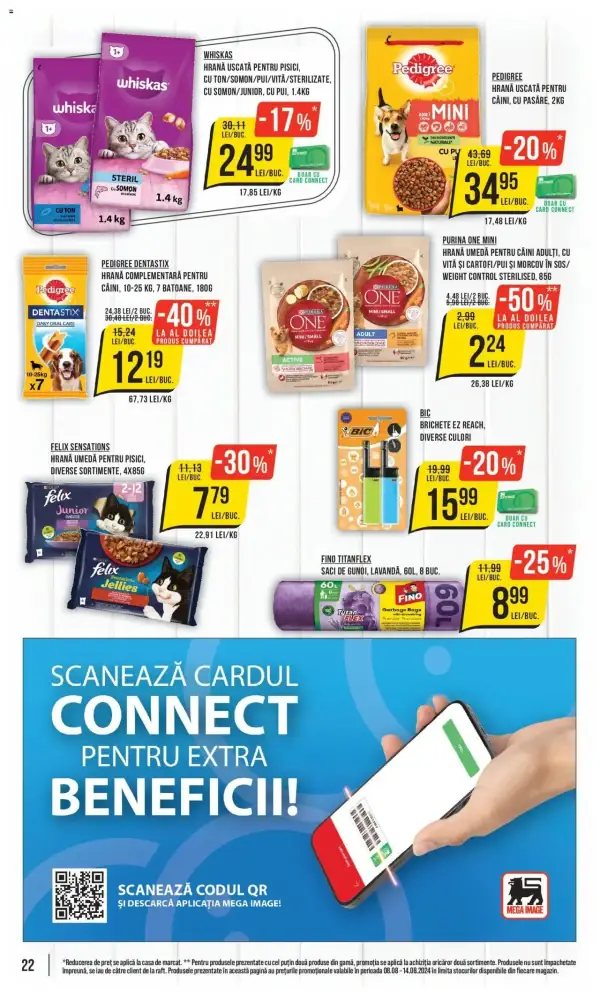 Pagina 22