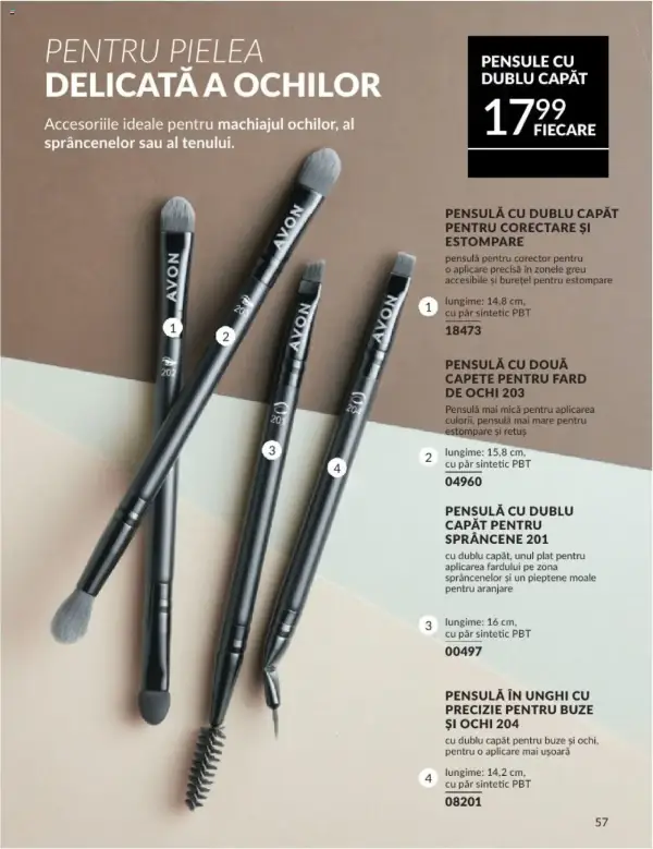 Pagina 61