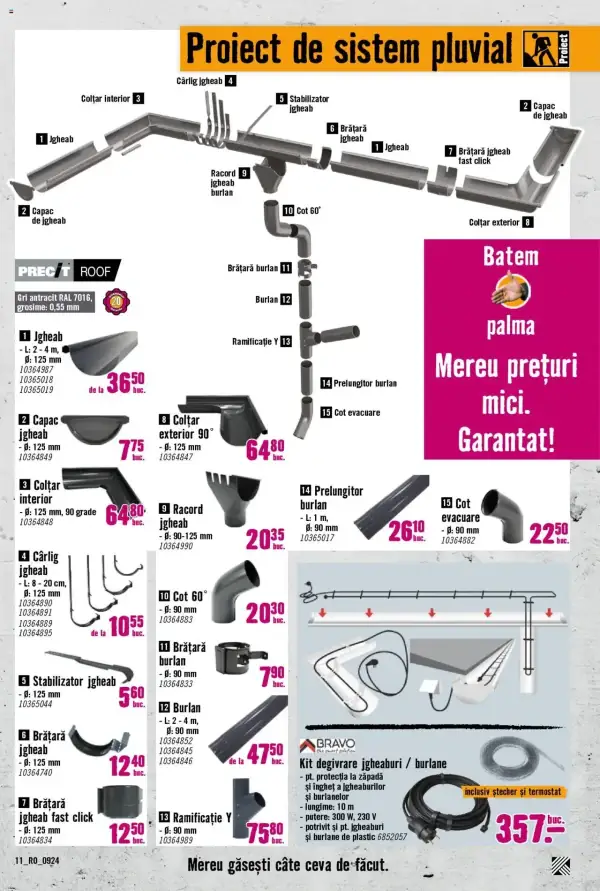 Pagina 11