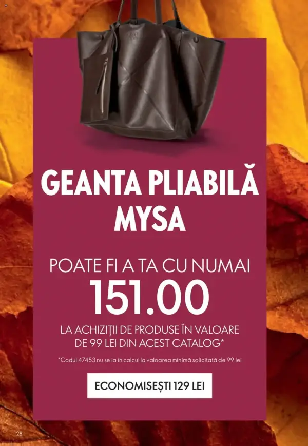 Pagina 28