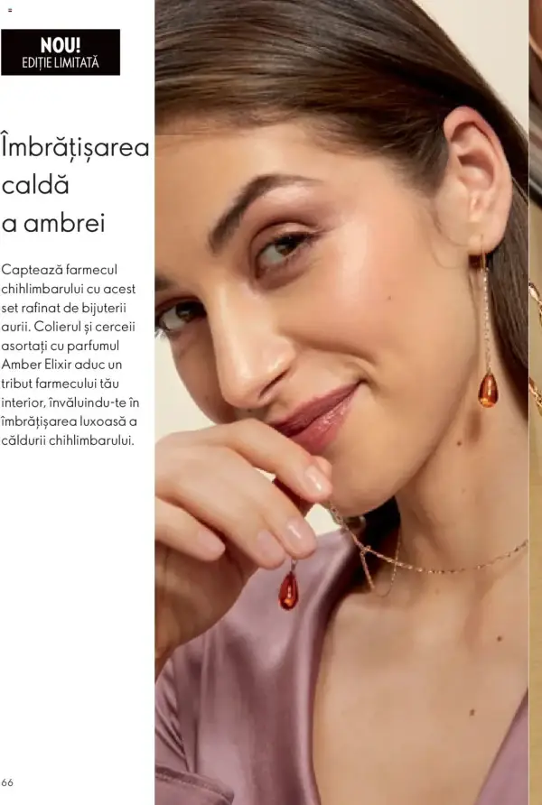 Pagina 66