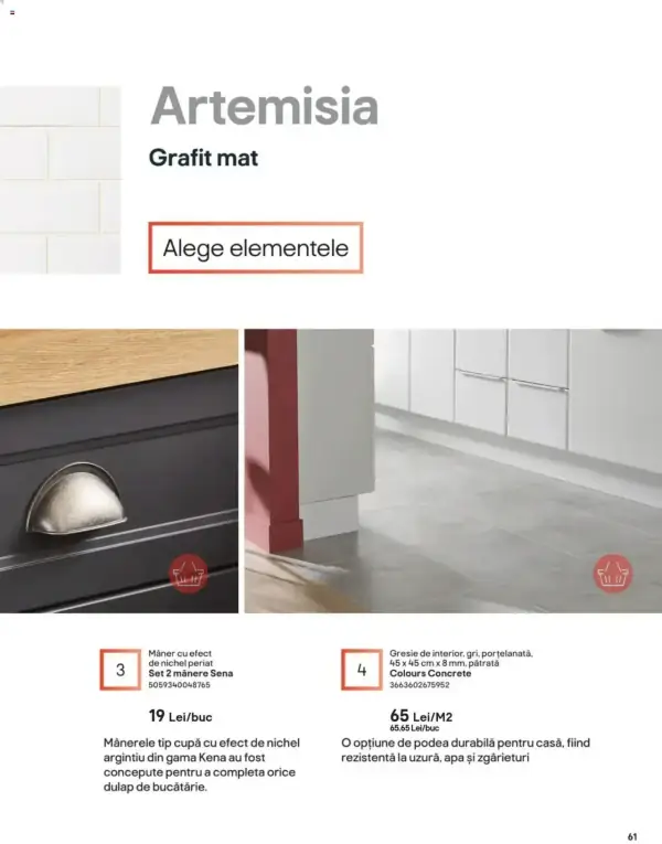 Pagina 61