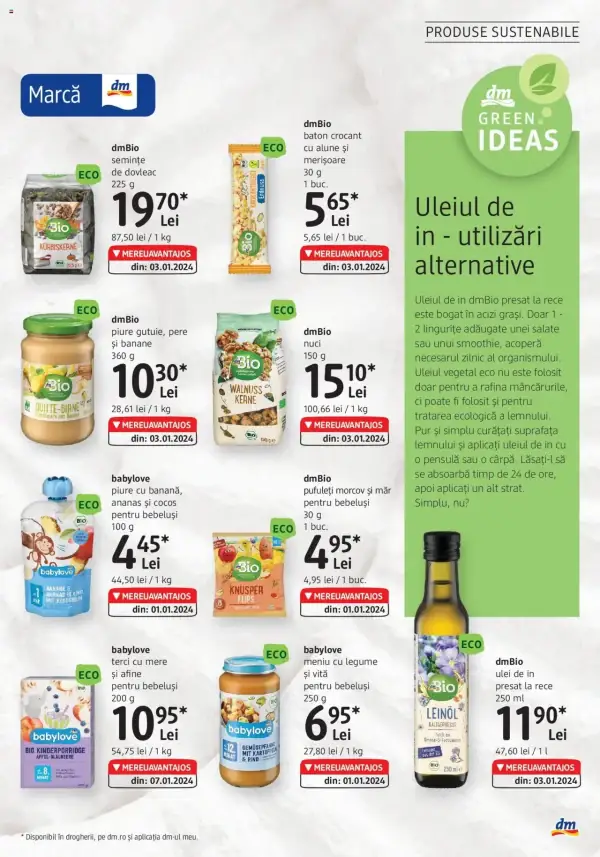 Pagina 31