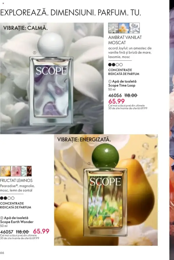 Pagina 66