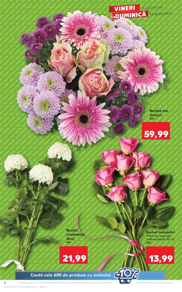Pagina 8