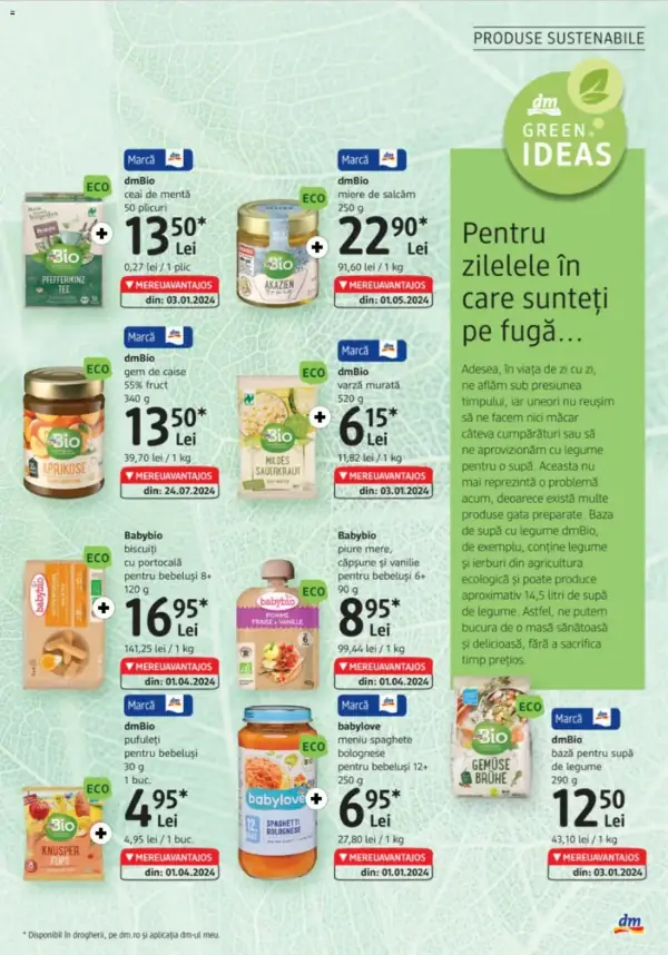 Pagina 31