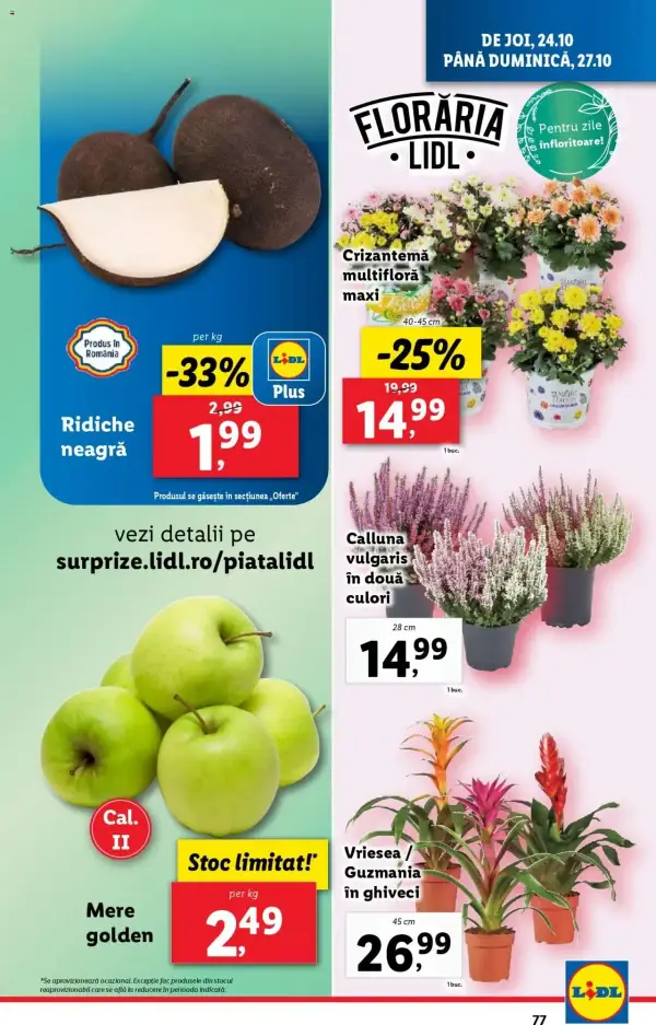 Cataloage Lidl: Ofertă actuală din 21.10.2024 - Oferta produse - 21-10-2024 - 27-10-2024.