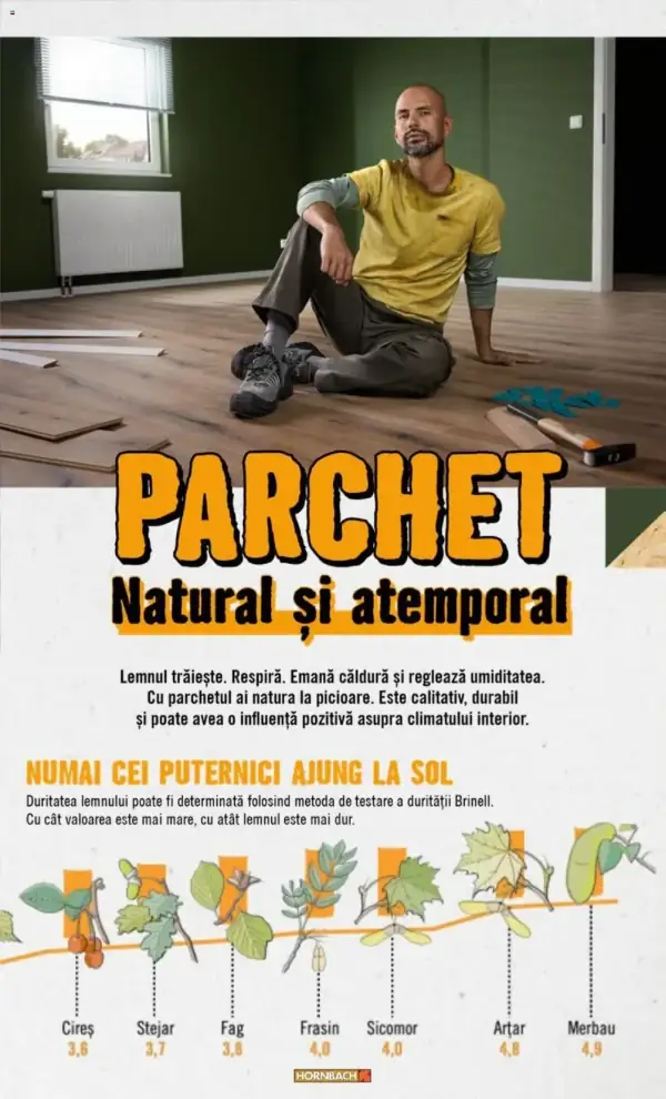 Pagina 18